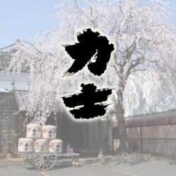 xr:d:DAGB_pPkBcc:63,j:6001471428612898063,t:24041507